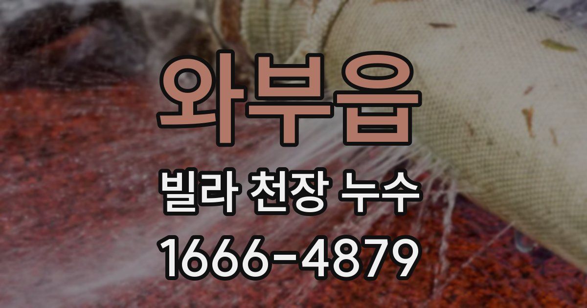 와부읍 빌라 천장 누수