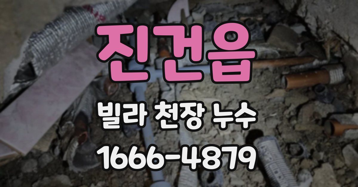 진건읍 빌라 천장 누수