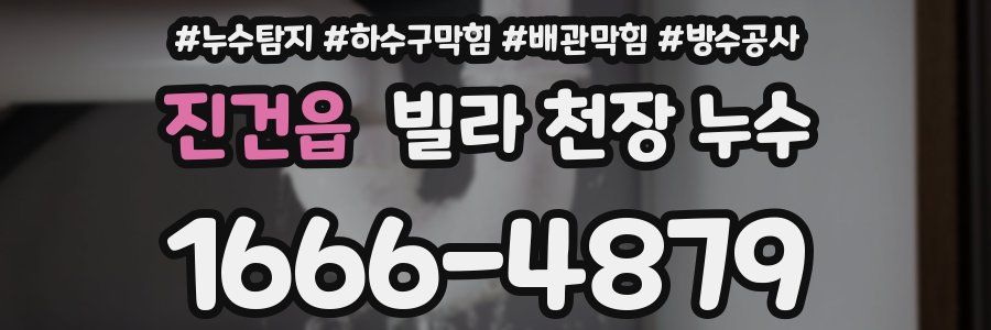 진건읍 빌라 천장 누수
