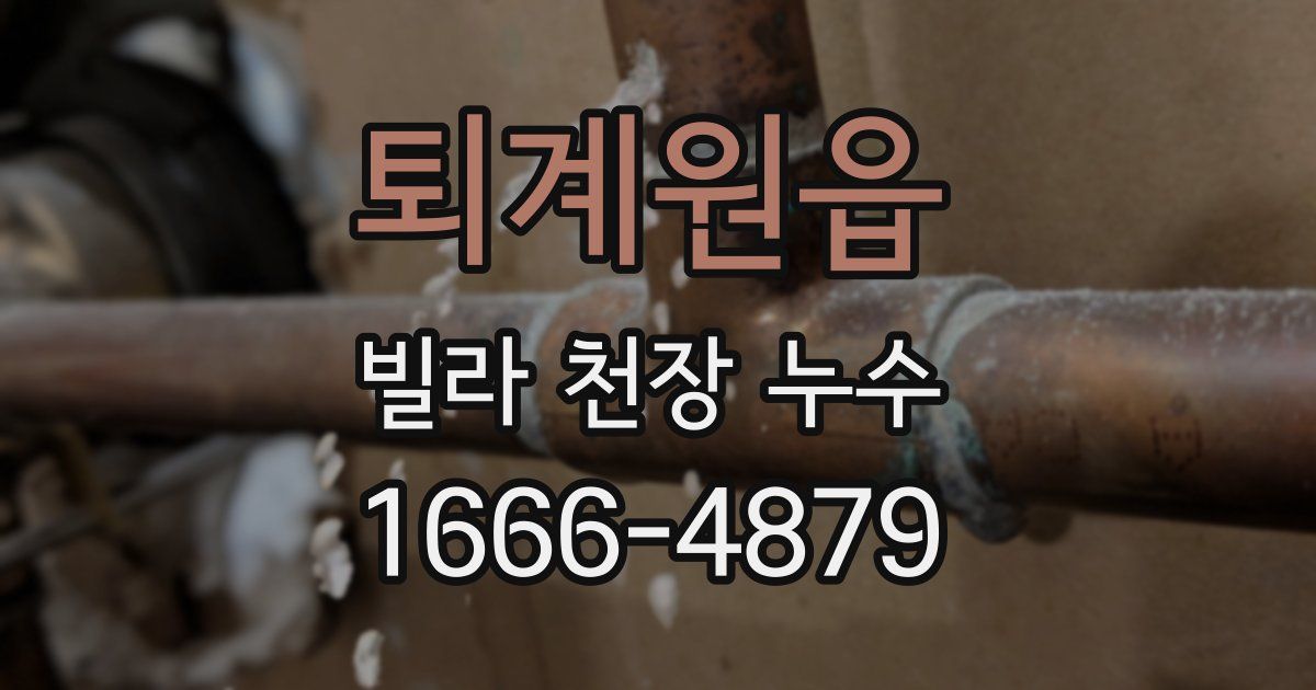 퇴계원읍 빌라 천장 누수