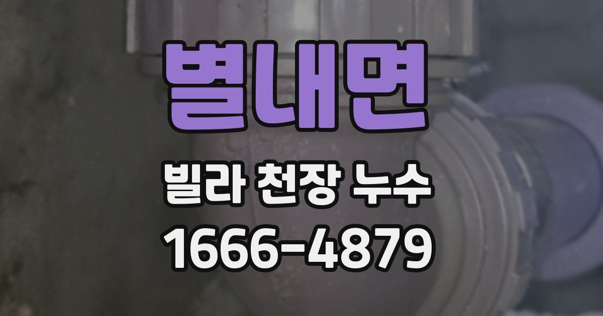 별내면 빌라 천장 누수