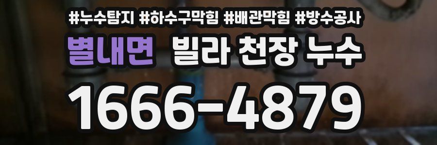 별내면 빌라 천장 누수