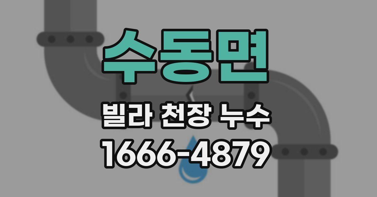 수동면 빌라 천장 누수