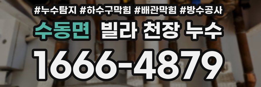 수동면 빌라 천장 누수
