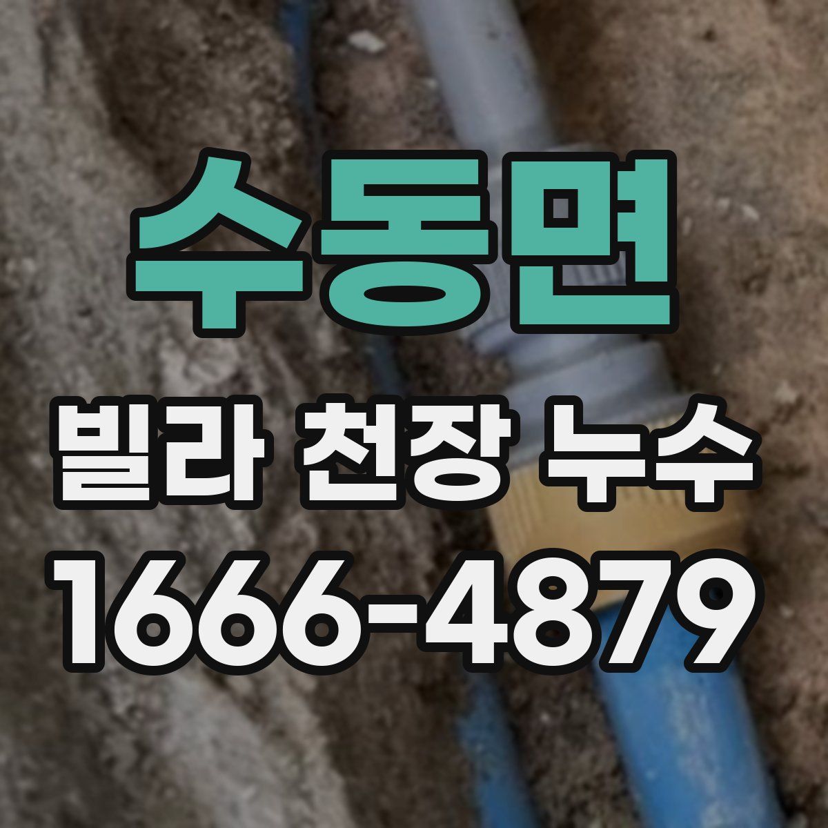 수동면 빌라 천장 누수