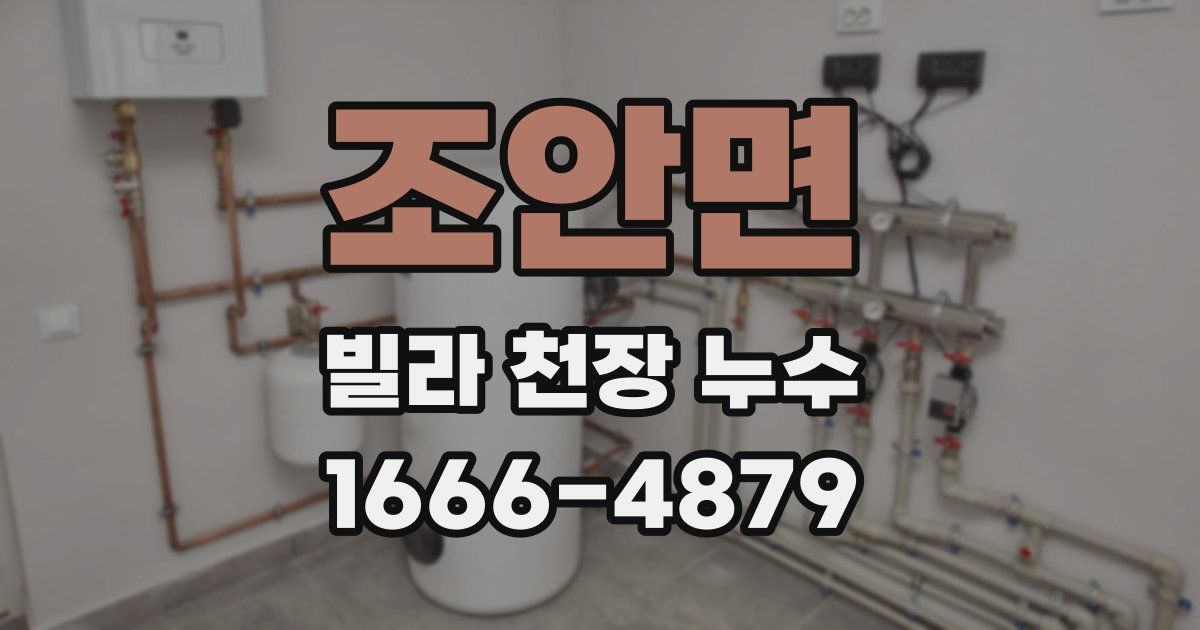 조안면 빌라 천장 누수