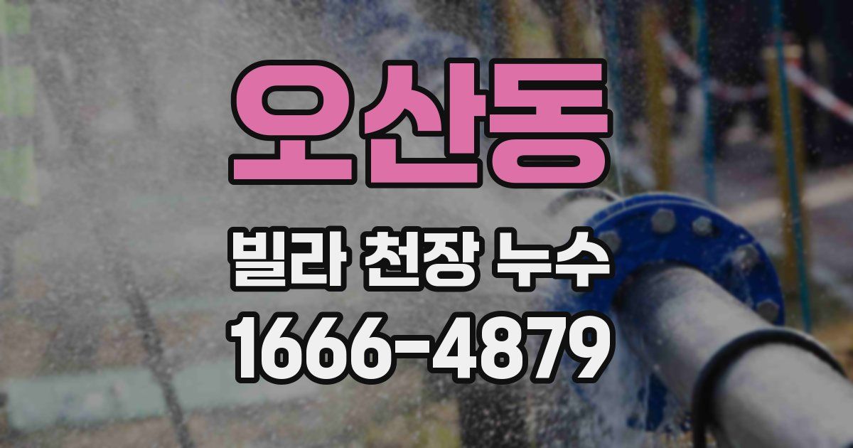 오산동 빌라 천장 누수