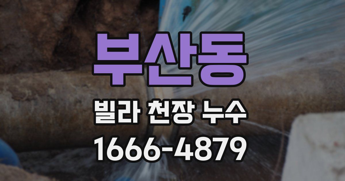 부산동 빌라 천장 누수