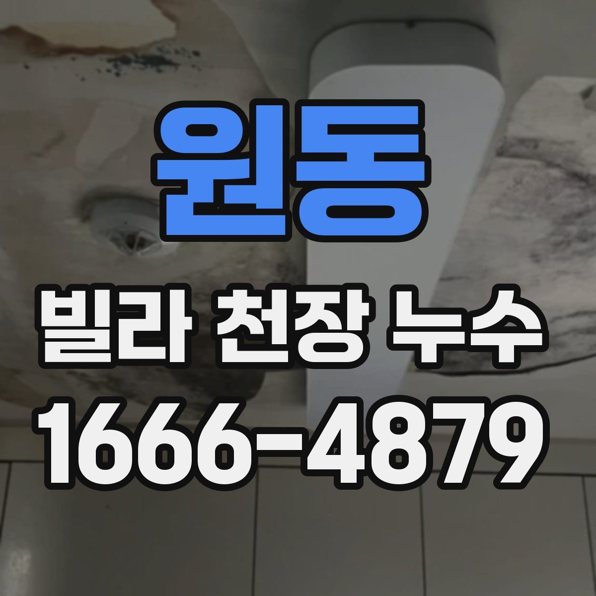 원동 빌라 천장 누수