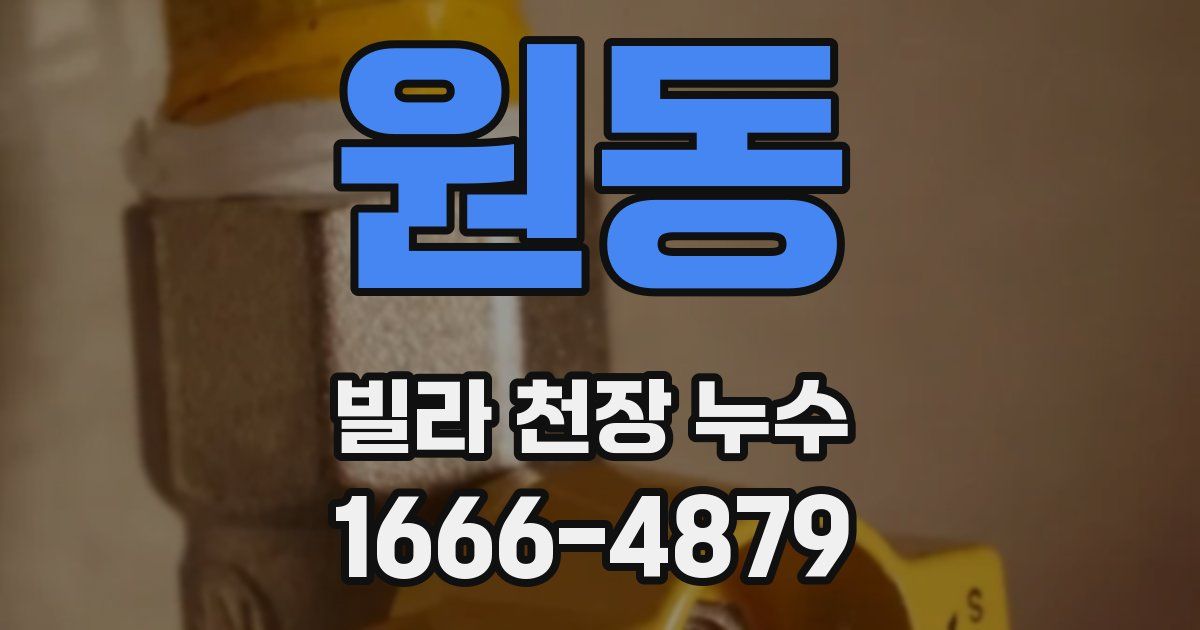 원동 빌라 천장 누수