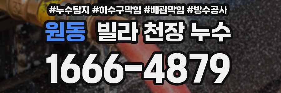 원동 빌라 천장 누수