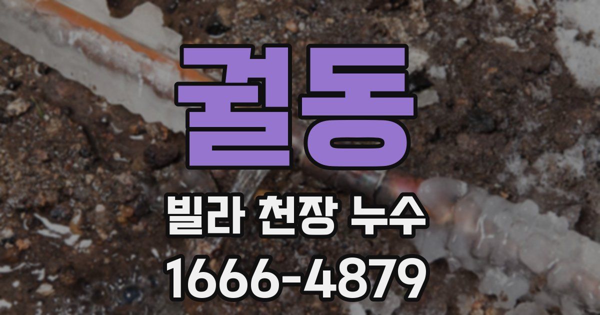 궐동 빌라 천장 누수