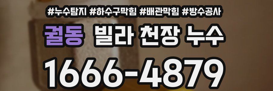 궐동 빌라 천장 누수