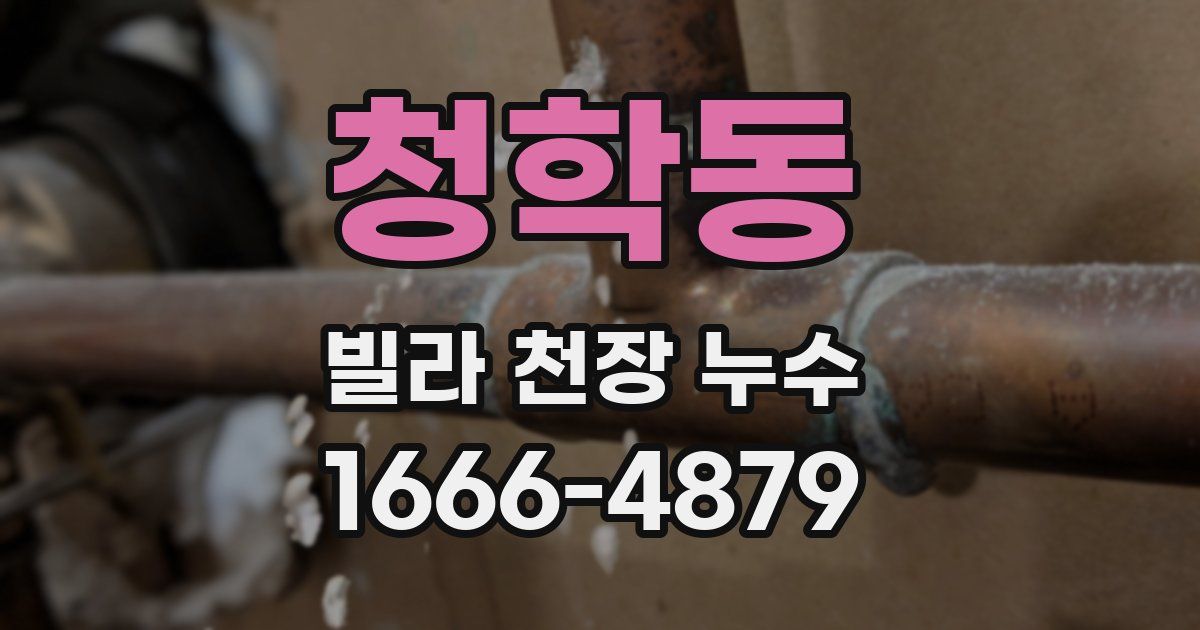 청학동 빌라 천장 누수