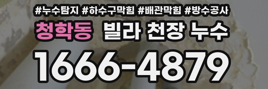 청학동 빌라 천장 누수