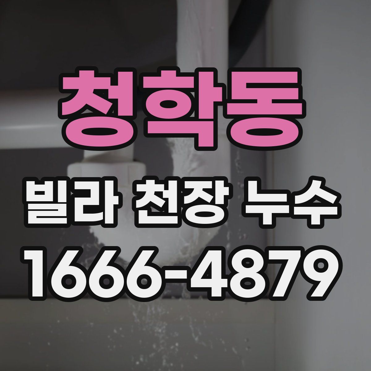 청학동 빌라 천장 누수