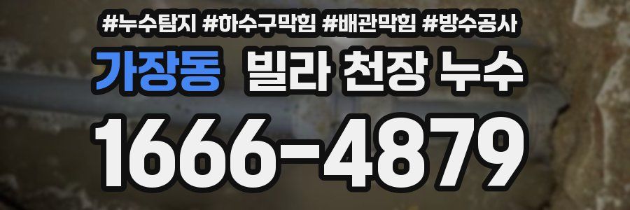 가장동 빌라 천장 누수