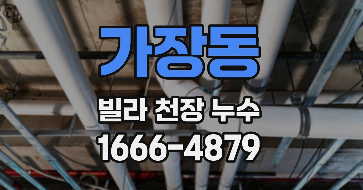 가장동 빌라 천장 누수