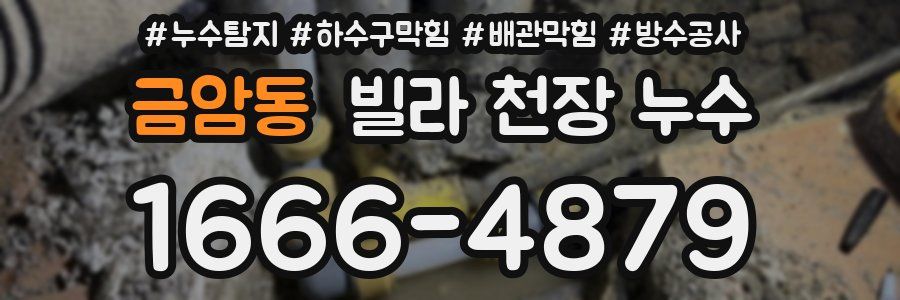 금암동 빌라 천장 누수
