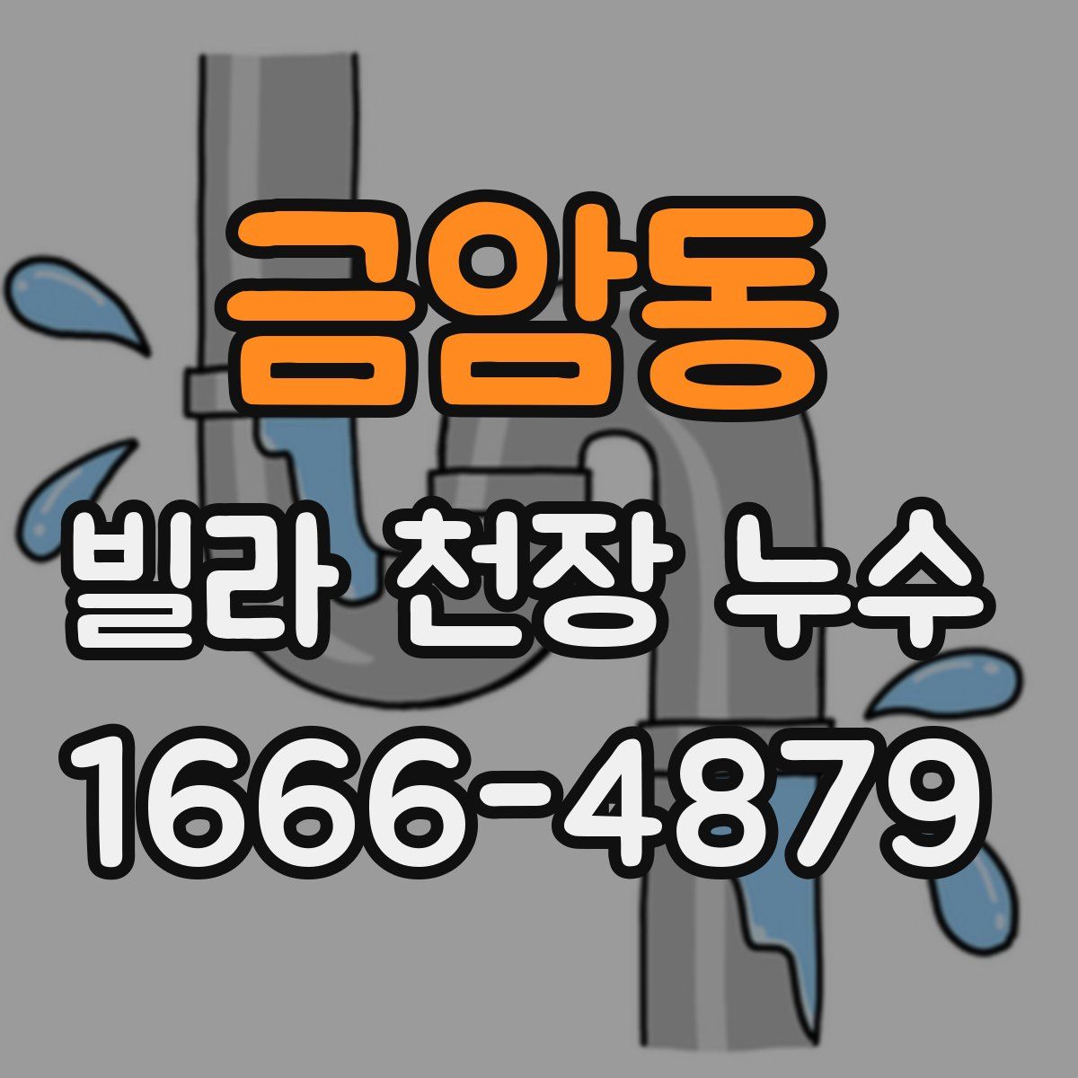 금암동 빌라 천장 누수