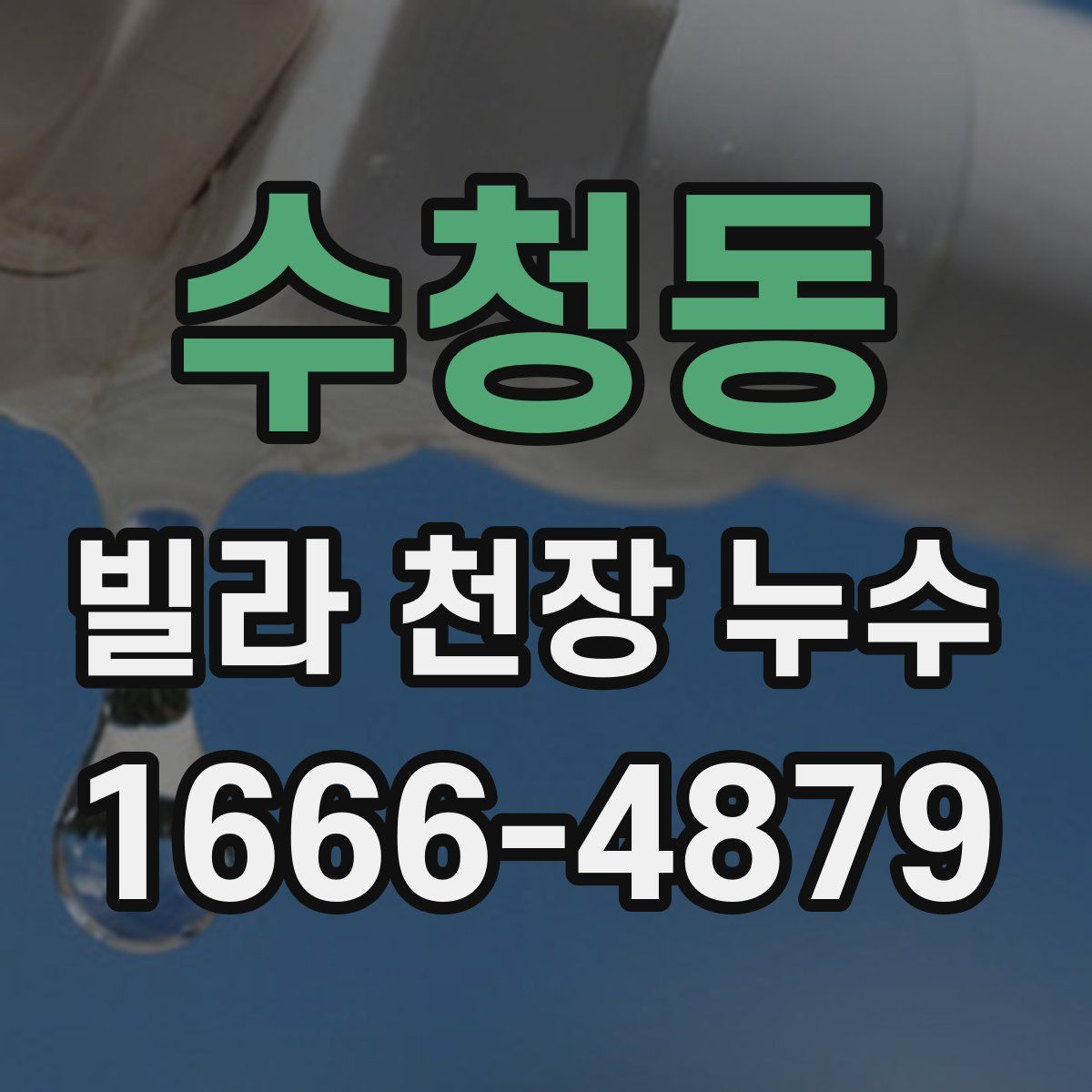 수청동 빌라 천장 누수