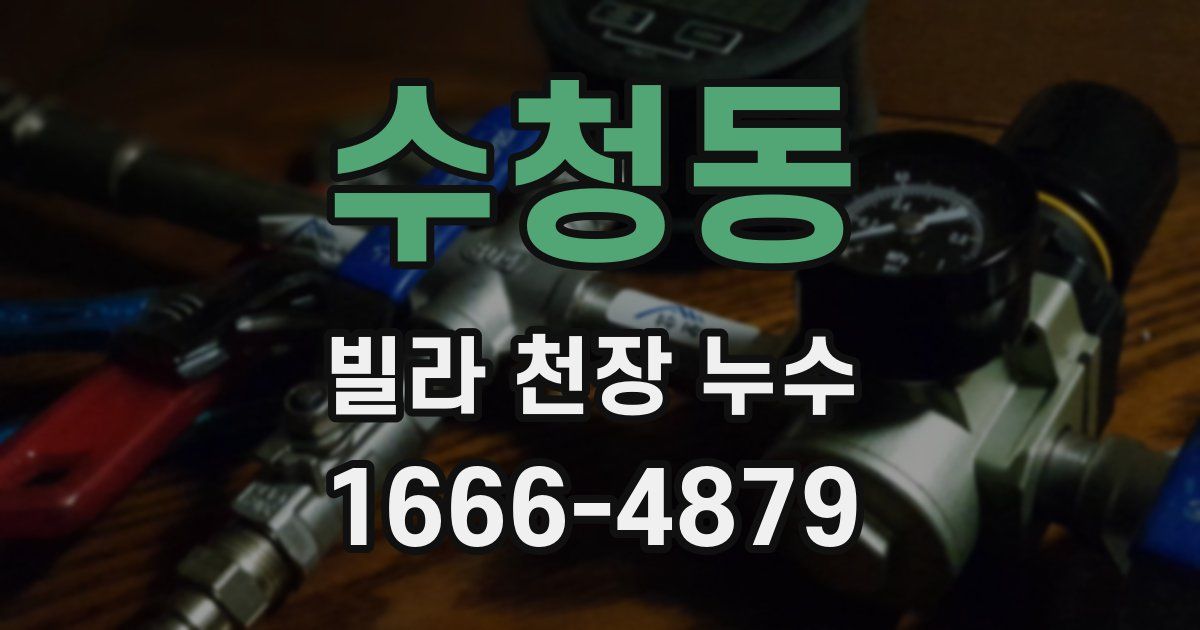 수청동 빌라 천장 누수