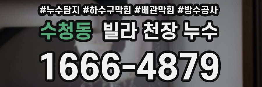 수청동 빌라 천장 누수
