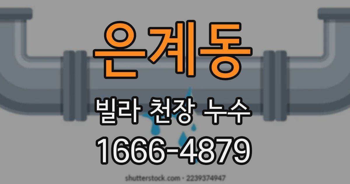 은계동 빌라 천장 누수