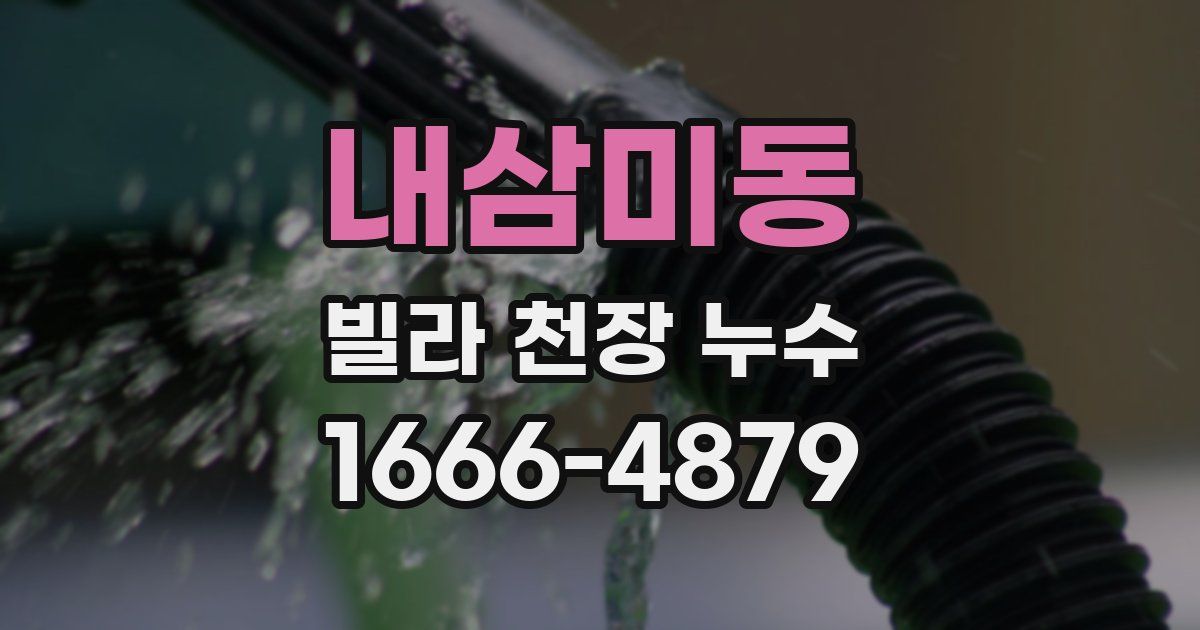 내삼미동 빌라 천장 누수