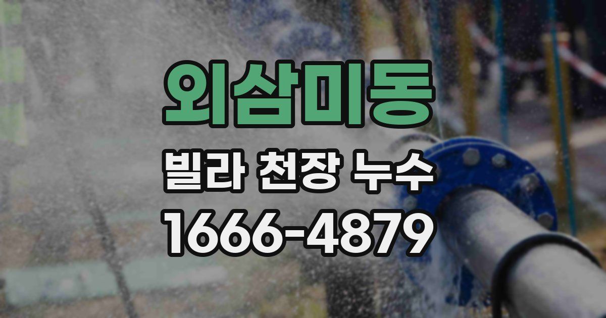 외삼미동 빌라 천장 누수