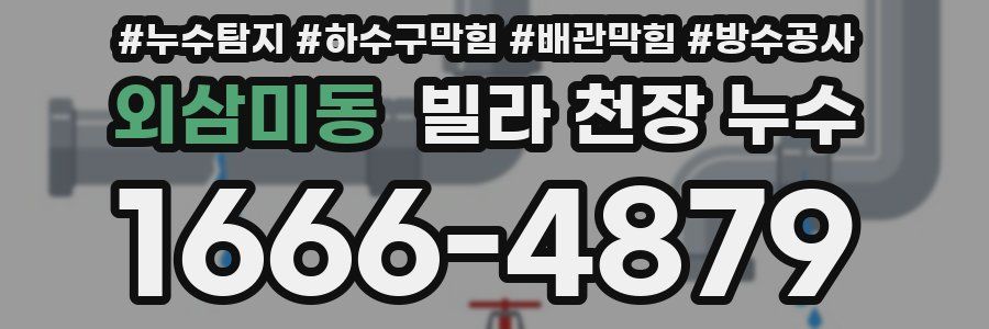 외삼미동 빌라 천장 누수