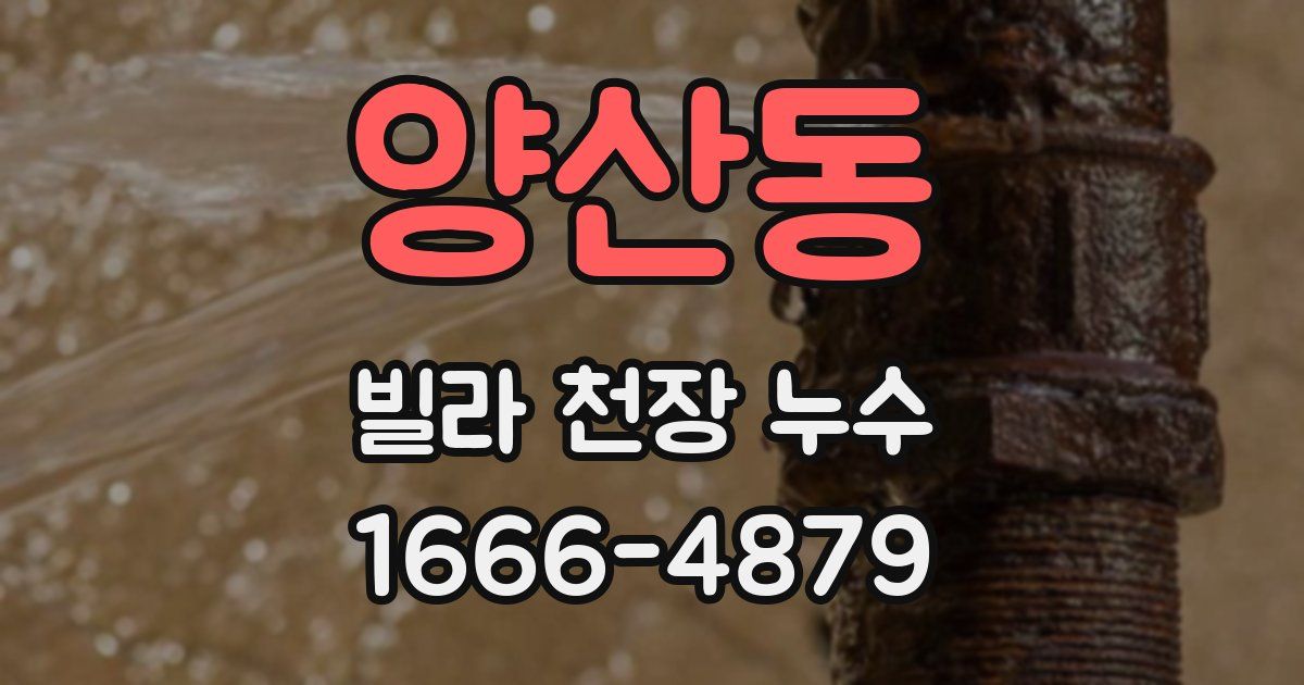 양산동 빌라 천장 누수
