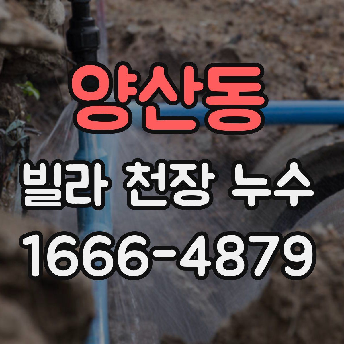 양산동 빌라 천장 누수