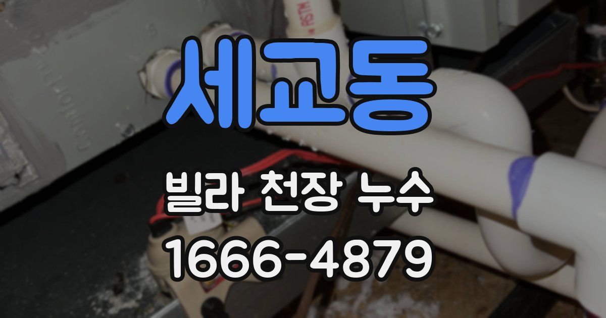 세교동 빌라 천장 누수