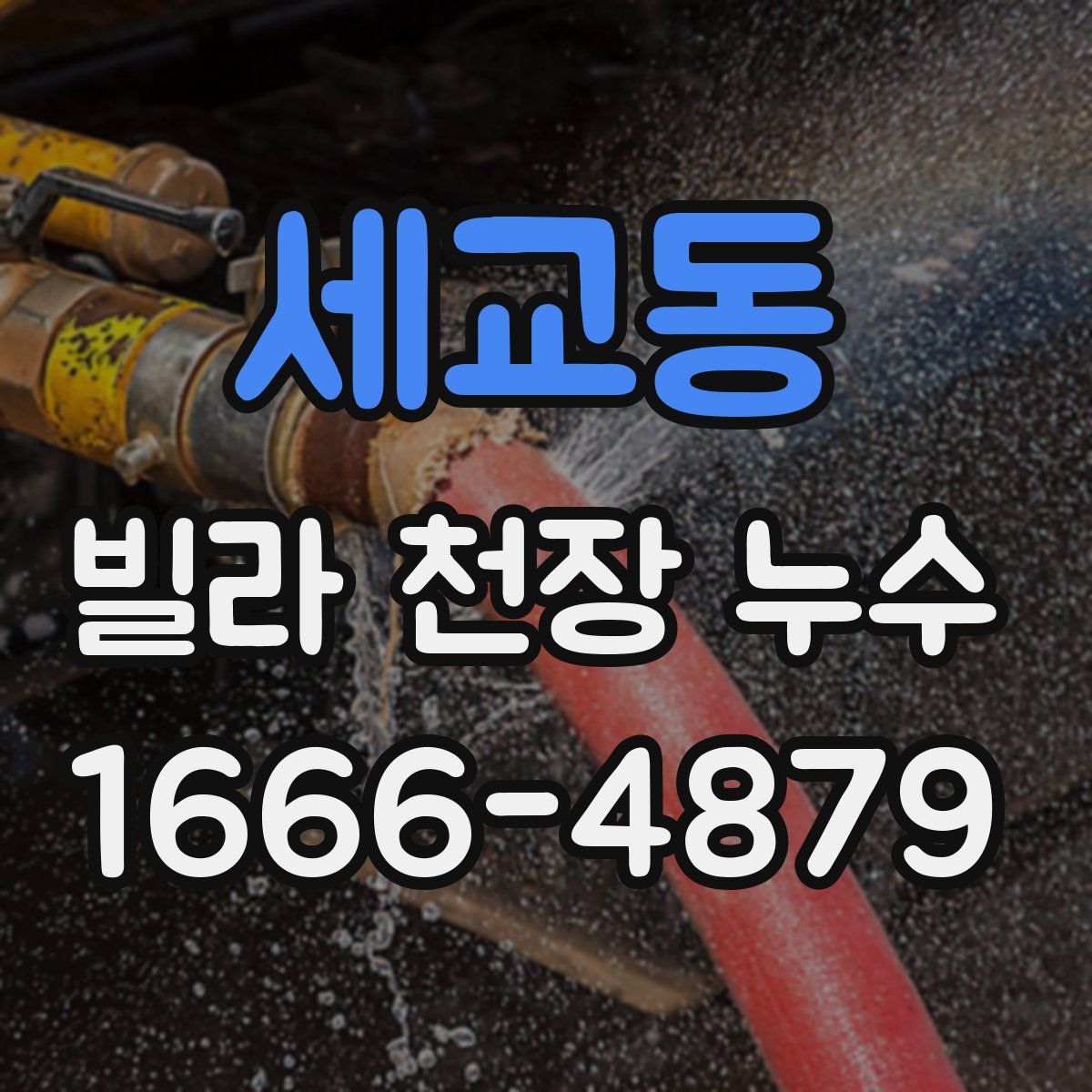 세교동 빌라 천장 누수