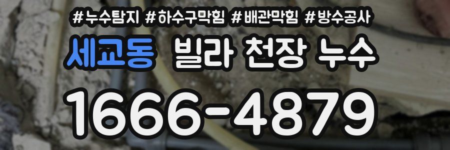 세교동 빌라 천장 누수