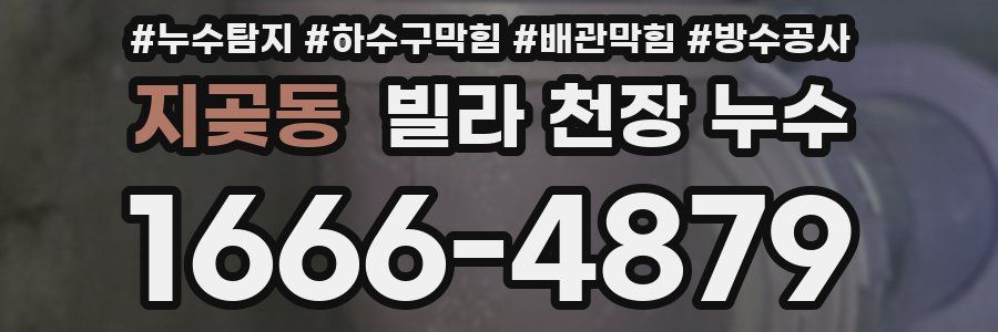 지곶동 빌라 천장 누수