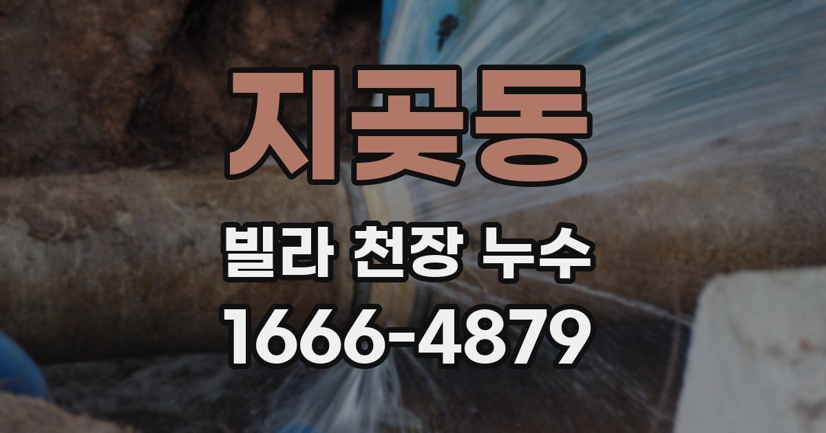 지곶동 빌라 천장 누수