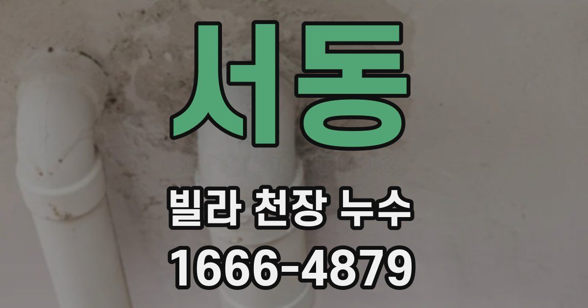 서동 빌라 천장 누수