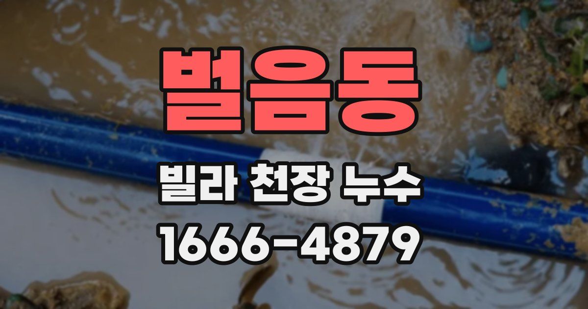 벌음동 빌라 천장 누수