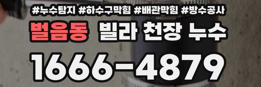 벌음동 빌라 천장 누수