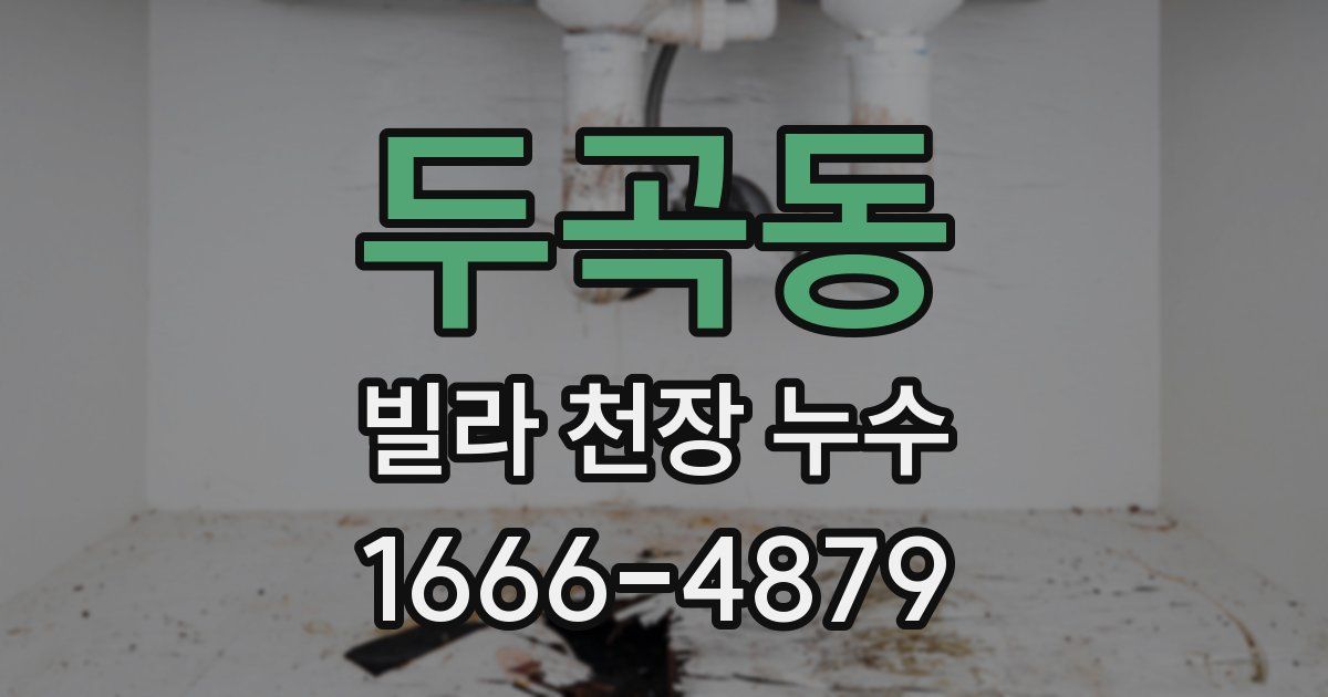 두곡동 빌라 천장 누수