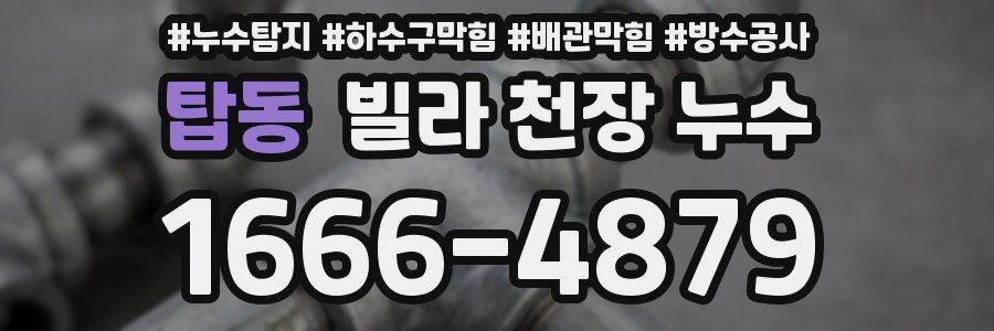 탑동 빌라 천장 누수