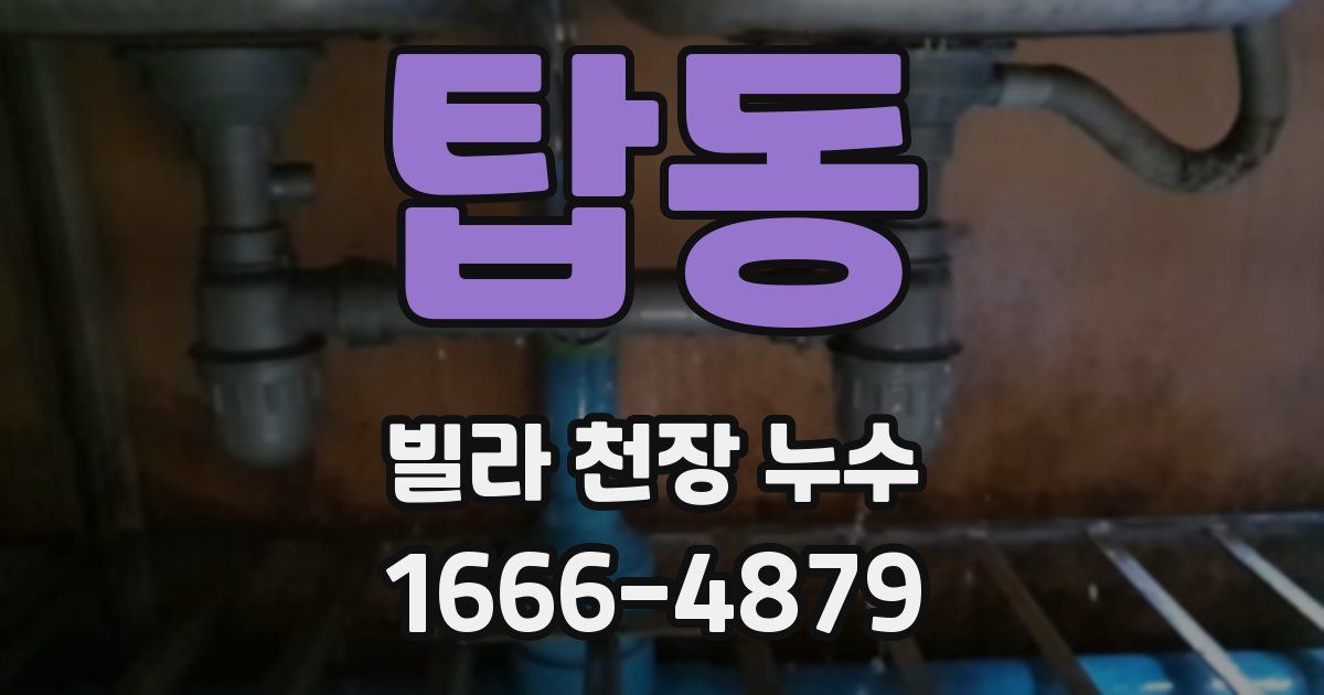 탑동 빌라 천장 누수