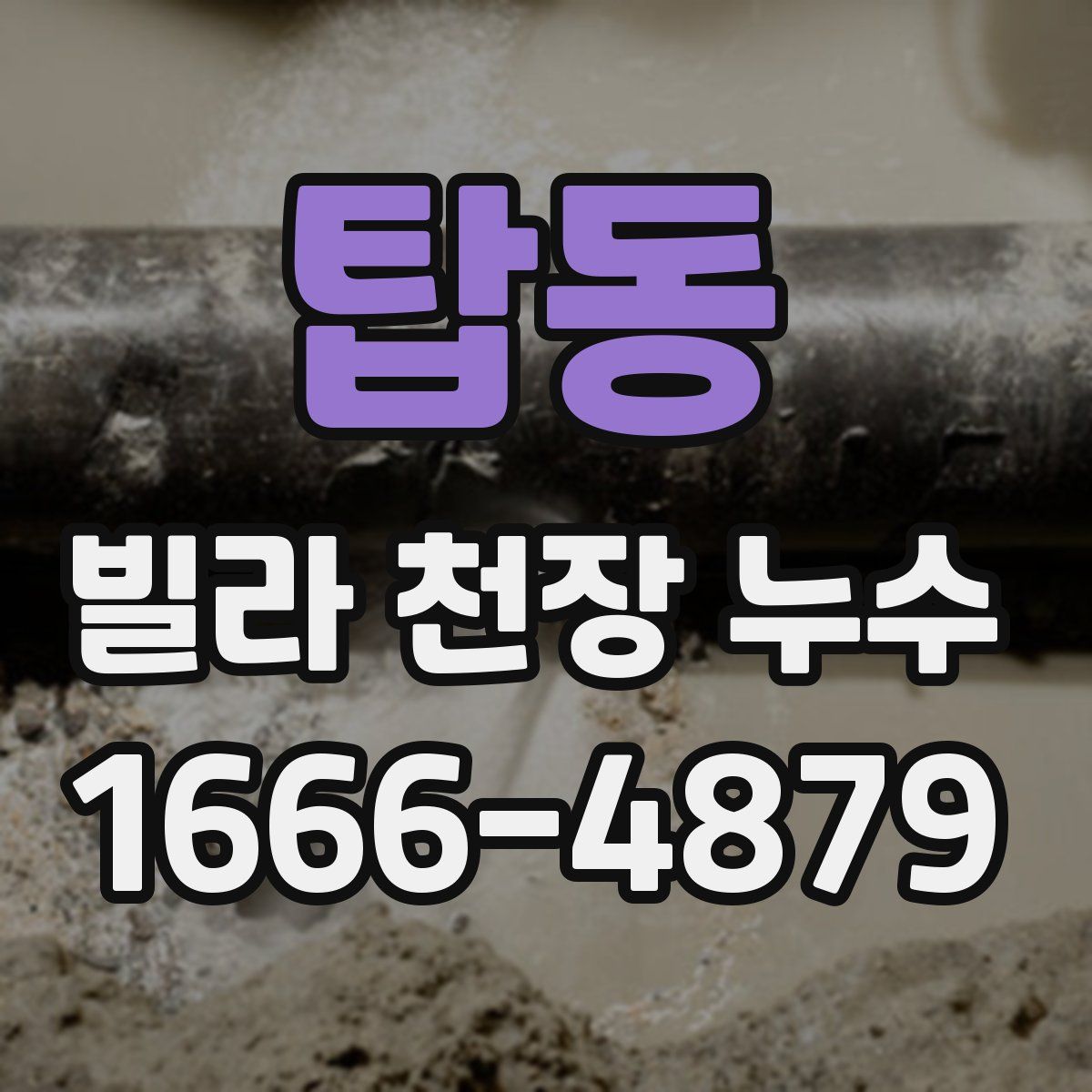 탑동 빌라 천장 누수