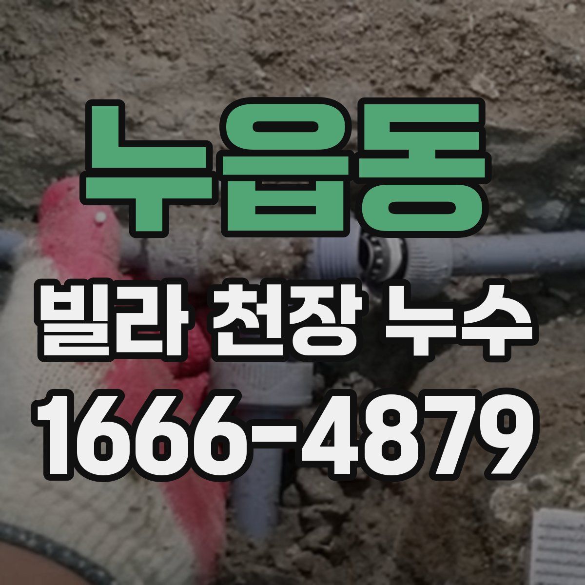 누읍동 빌라 천장 누수