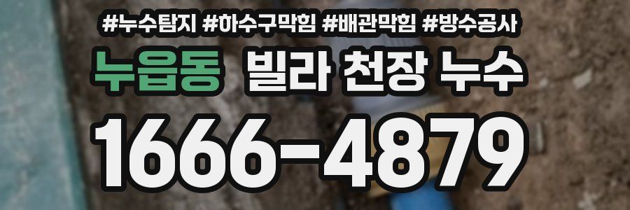 누읍동 빌라 천장 누수