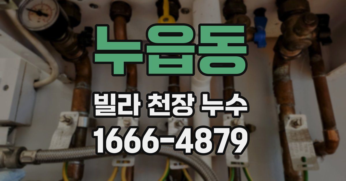 누읍동 빌라 천장 누수