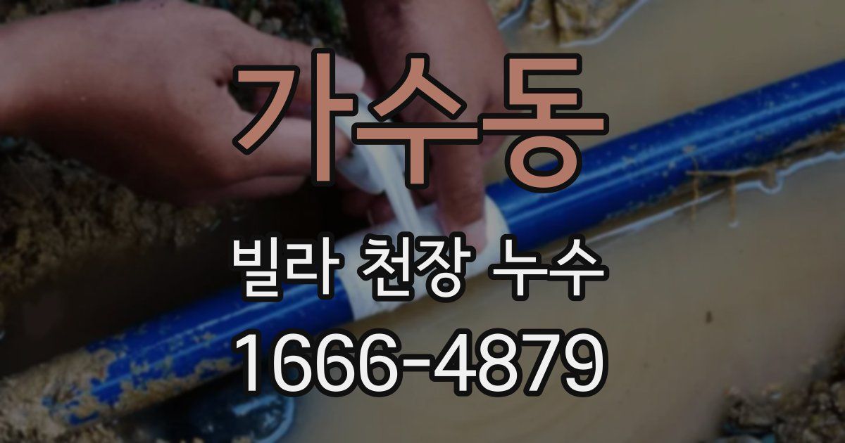 가수동 빌라 천장 누수