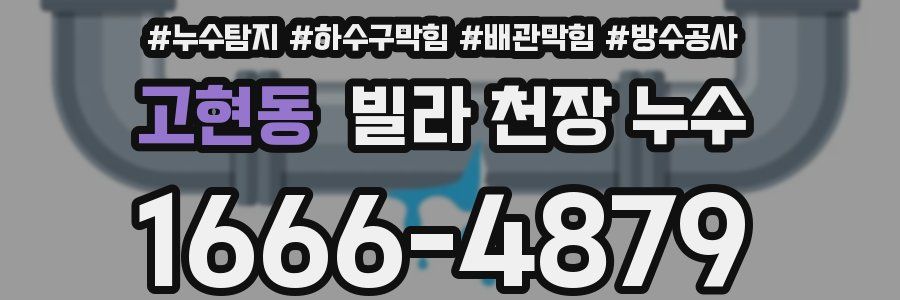 고현동 빌라 천장 누수